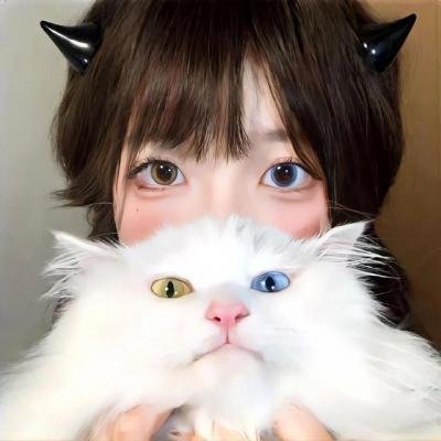 春满兰宫